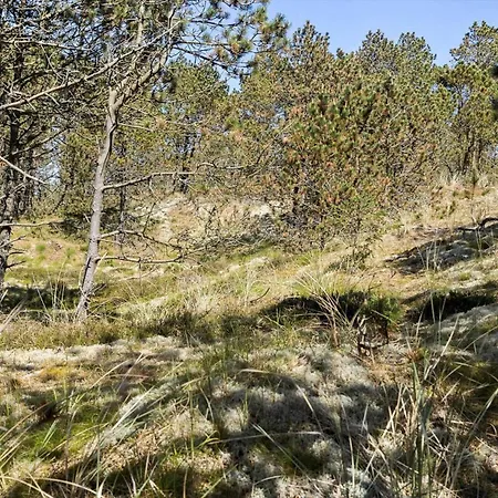 815-thisted-blamunkevej-45 * Thisted