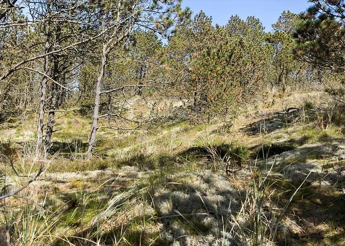 815-thisted-blamunkevej-45 * Thisted